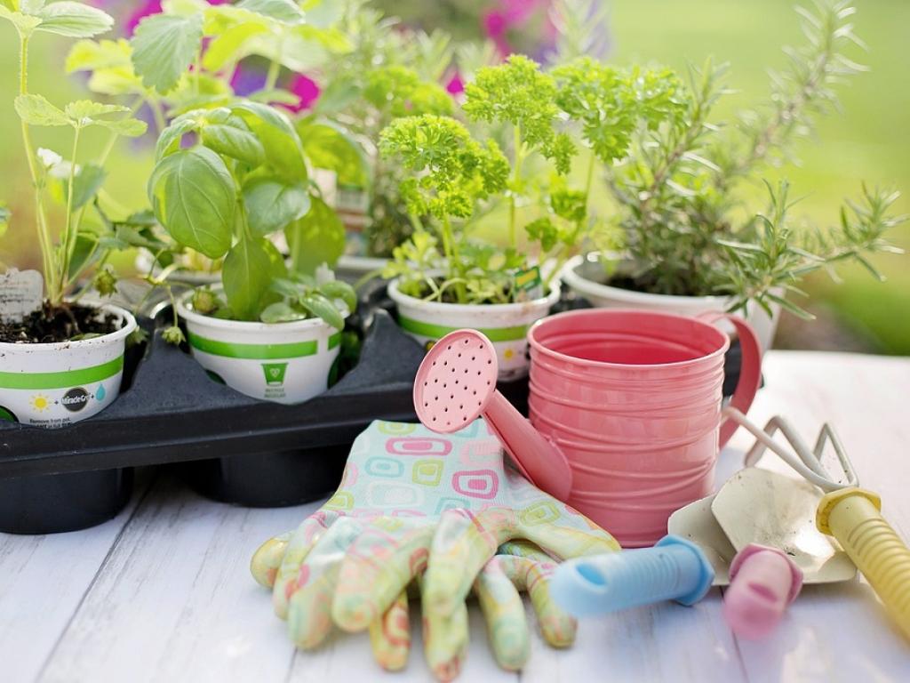 Foire aux plants & art du jardin