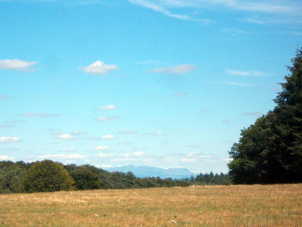 Au coeur de la forêt corrézienne