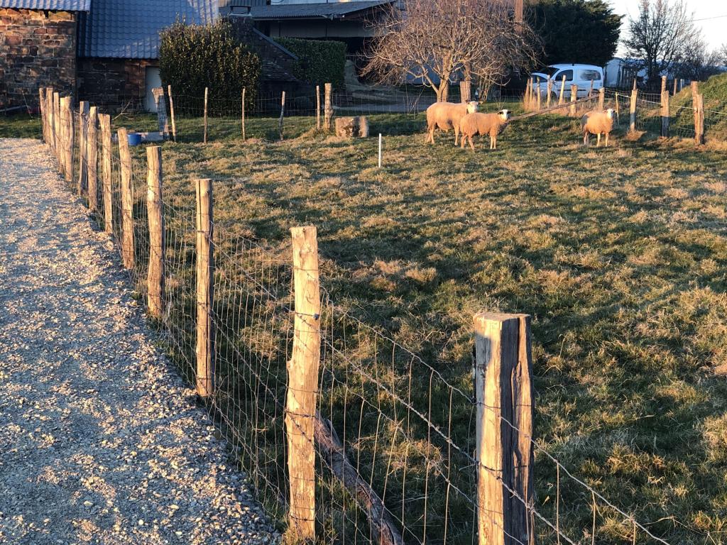 Ferme de Brossard