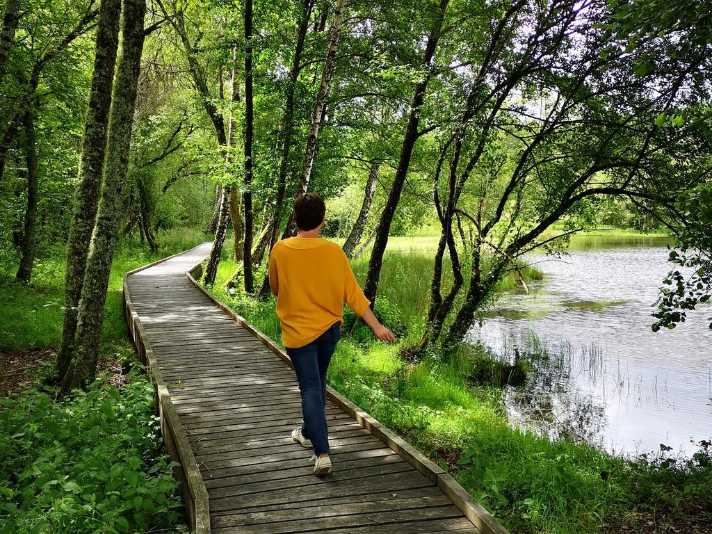 Plan d'eau de l'Enclose