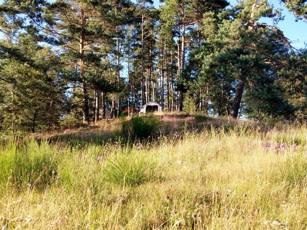 Aire Naturelle Le Moulin de Lacombe