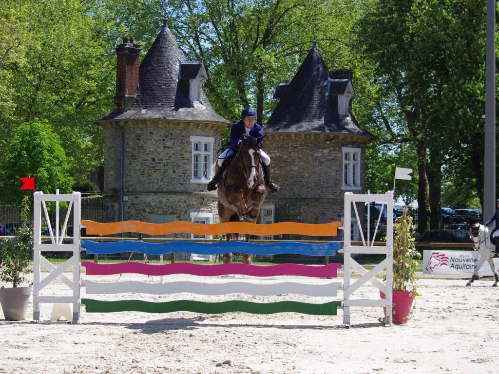 Concours de Saut d'Obstacles Jeunes Chevaux