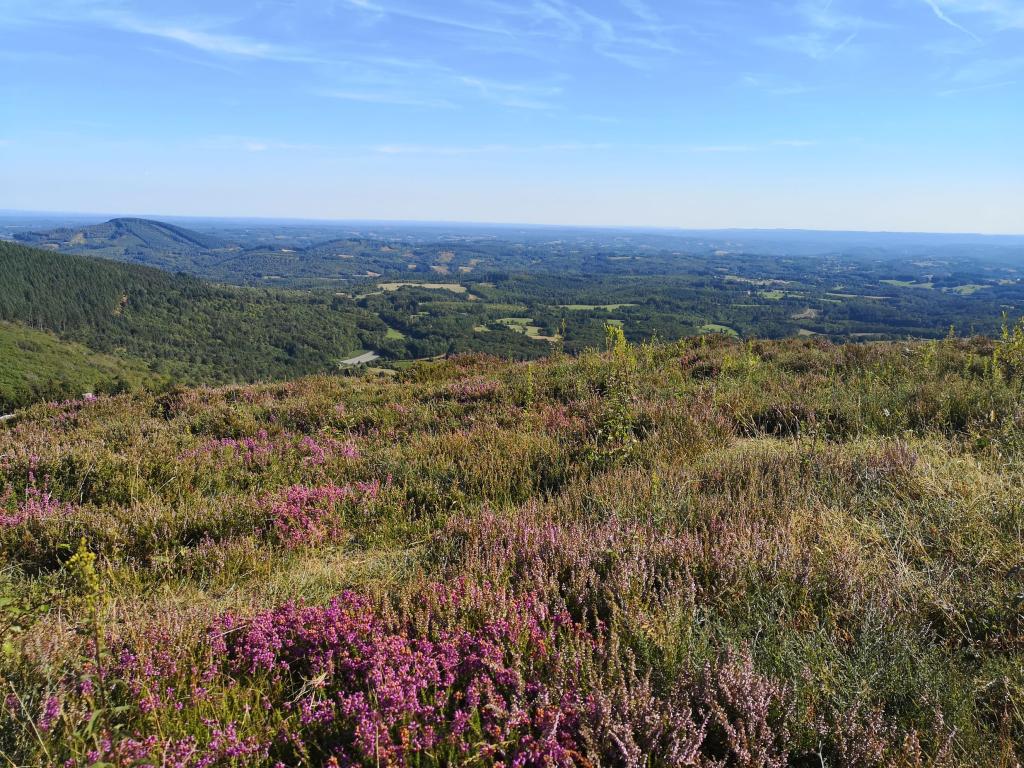 Puy de la Monédière