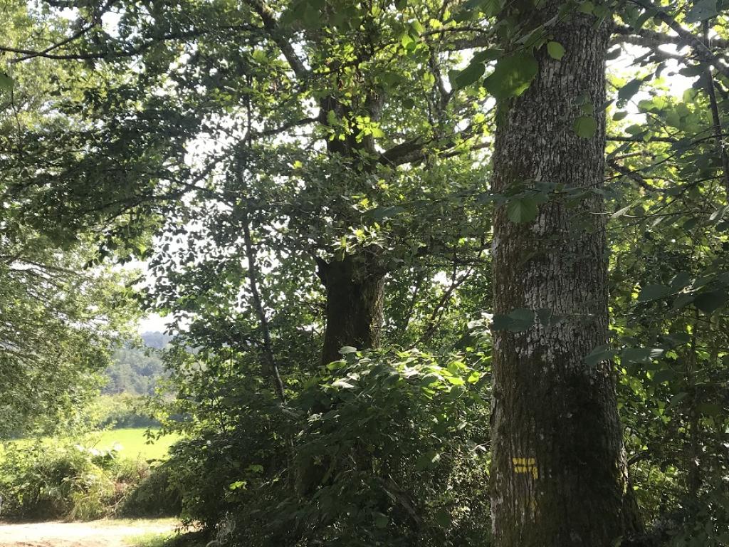 De l'homme et de la nature (variante de 4 km)