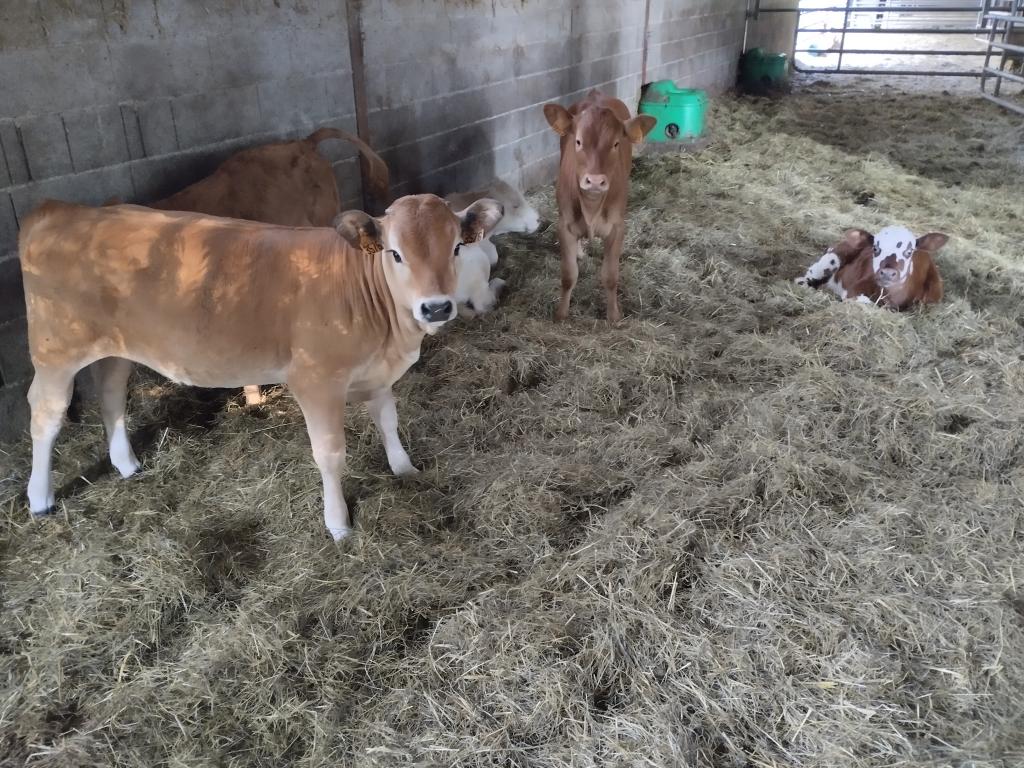 Ferme Pédagogique du Grand Chène