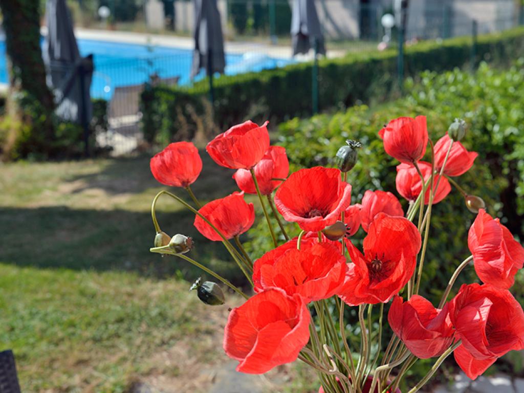 Hôtel-Restaurant les Coquelicots