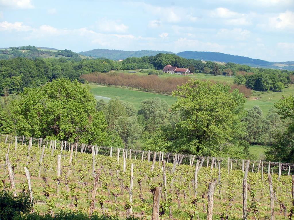 Autour du vignoble