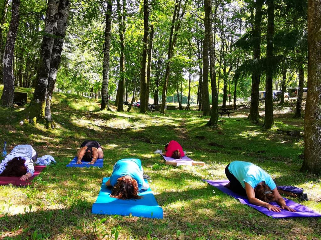 Cours de yoga collectifs en plein air