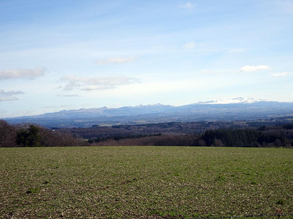 Chemin de la factrice