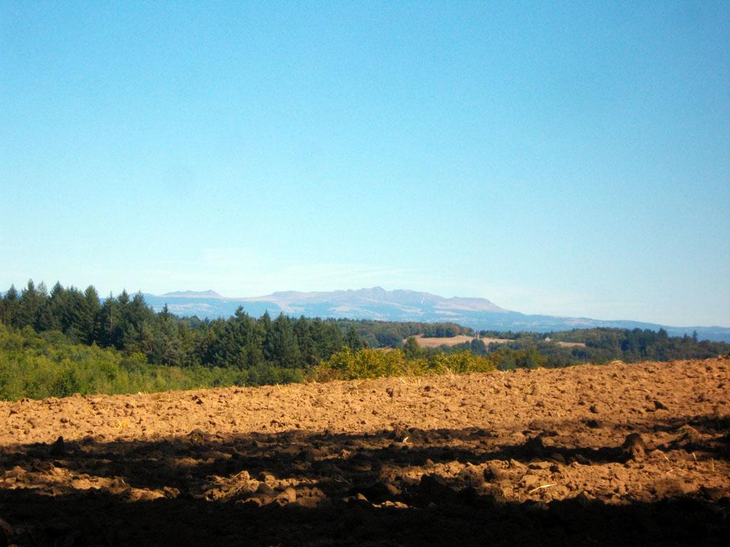 A la découverte de la forêt