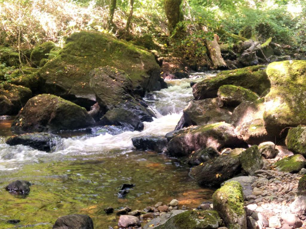 Sentier des charbonniers