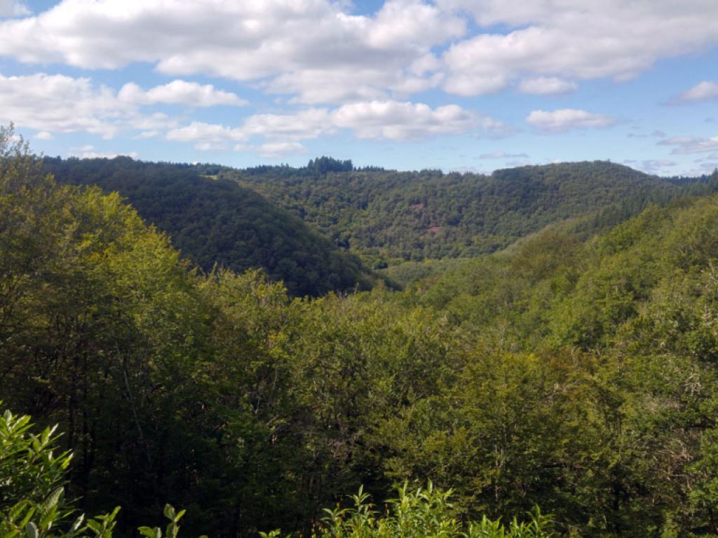 Sentier des charbonniers