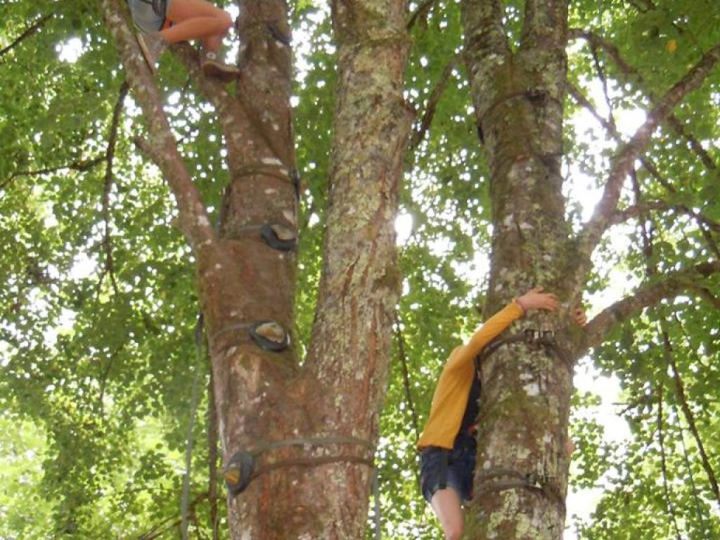 Escalad'arbre Escapade Nature Pays d'Argentat