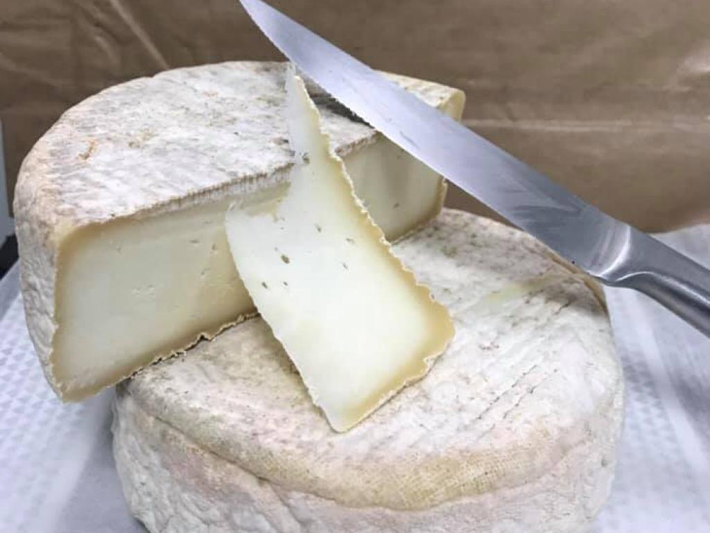 Les fromages de chèvre du Bois la Gane