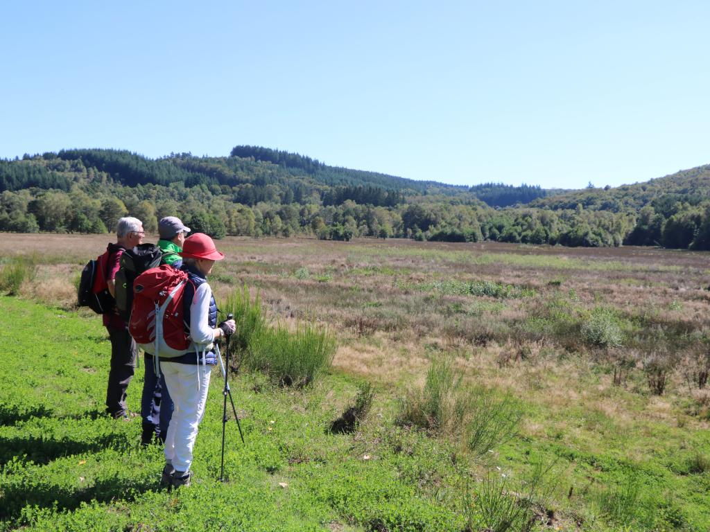 Circuit d’interprétation :  Tourbière de Rebière Nègre