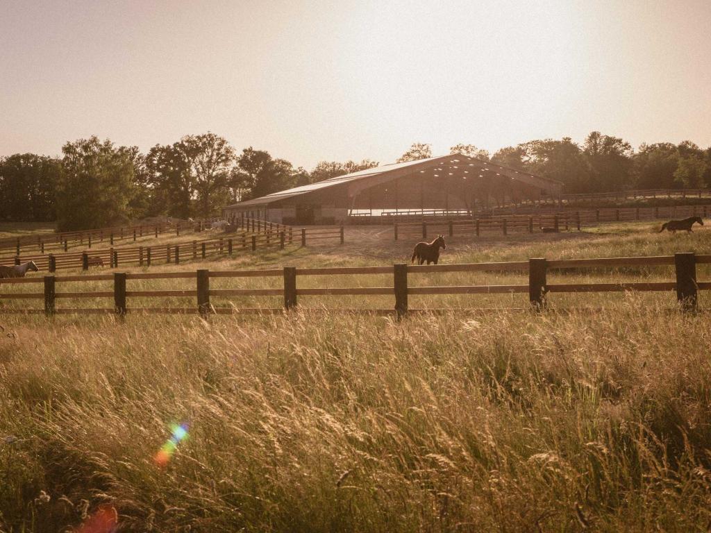 Ranch de Lauzerat