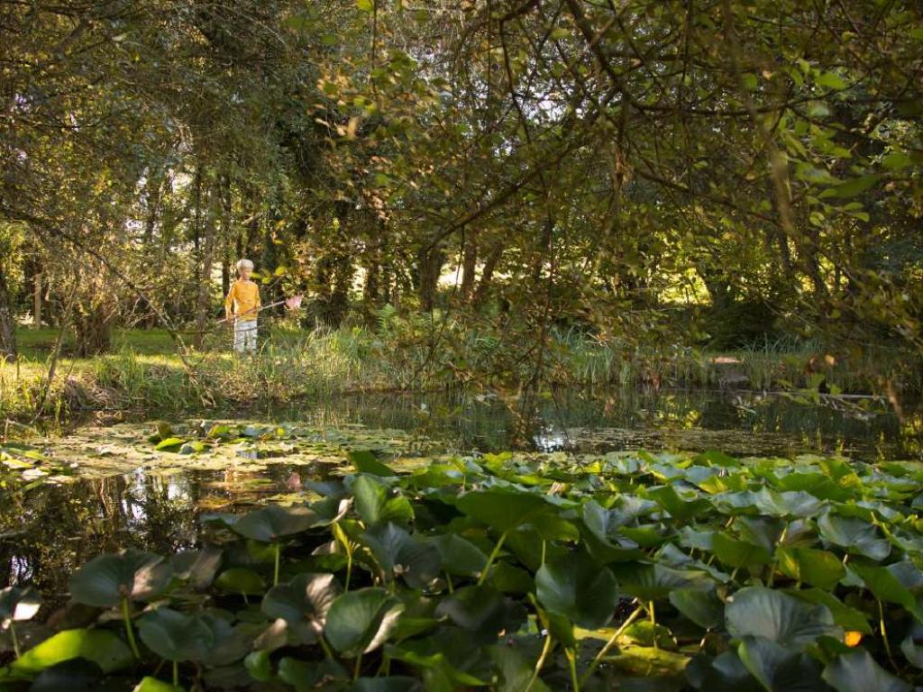 Parc arboretum de Chamberet