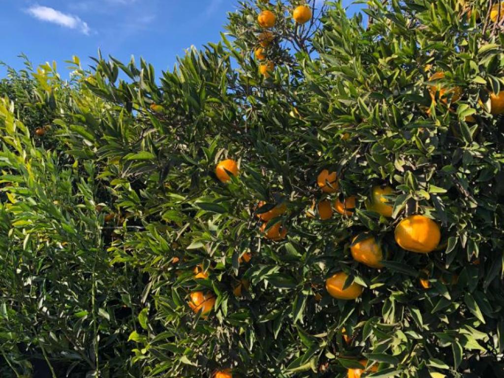 Les Jardins de Lagarde