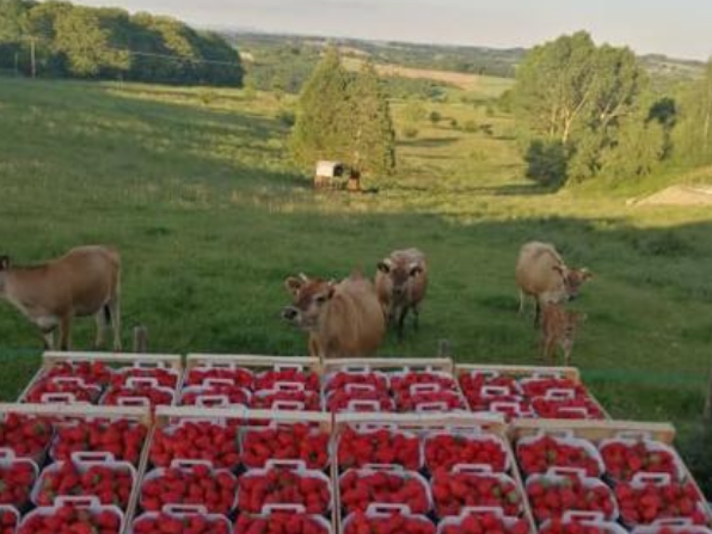 La ferme des Parettes