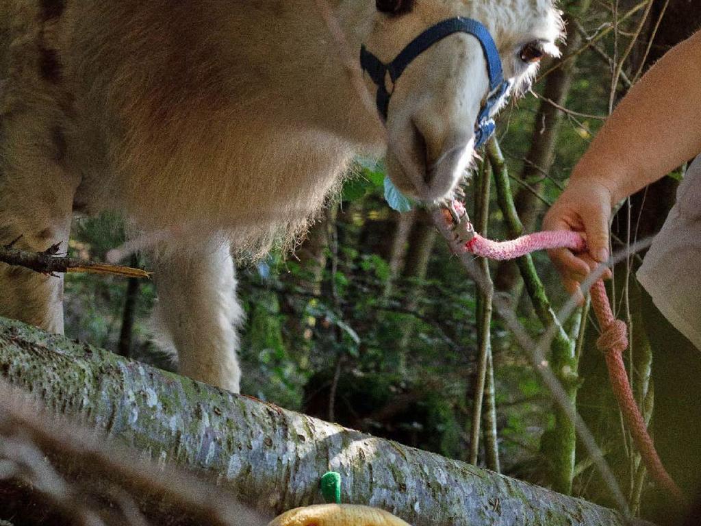 Ferme de Lama'ziere