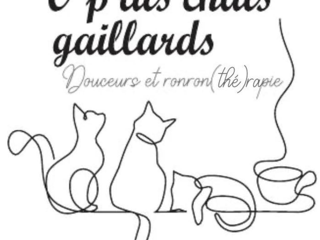 O P'tits chats gaillards