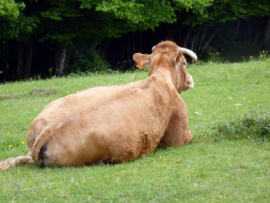 Ferme de Brossard