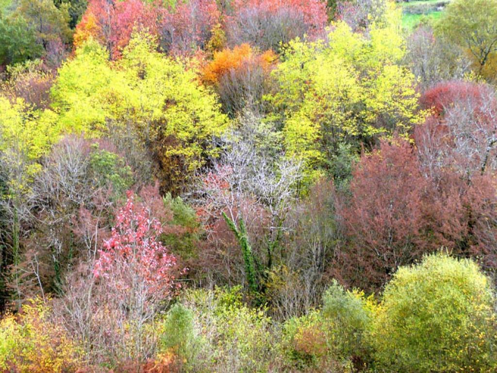 Des vergers aux berges de la Corrèze