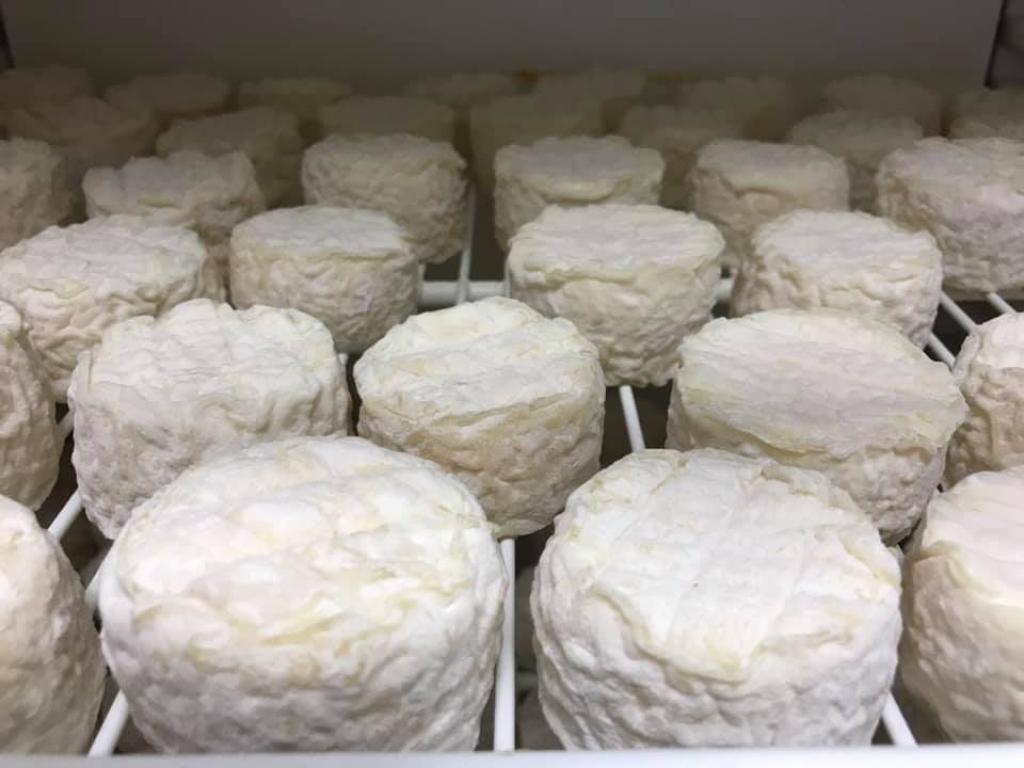 Les fromages de chèvre du Bois la Gane