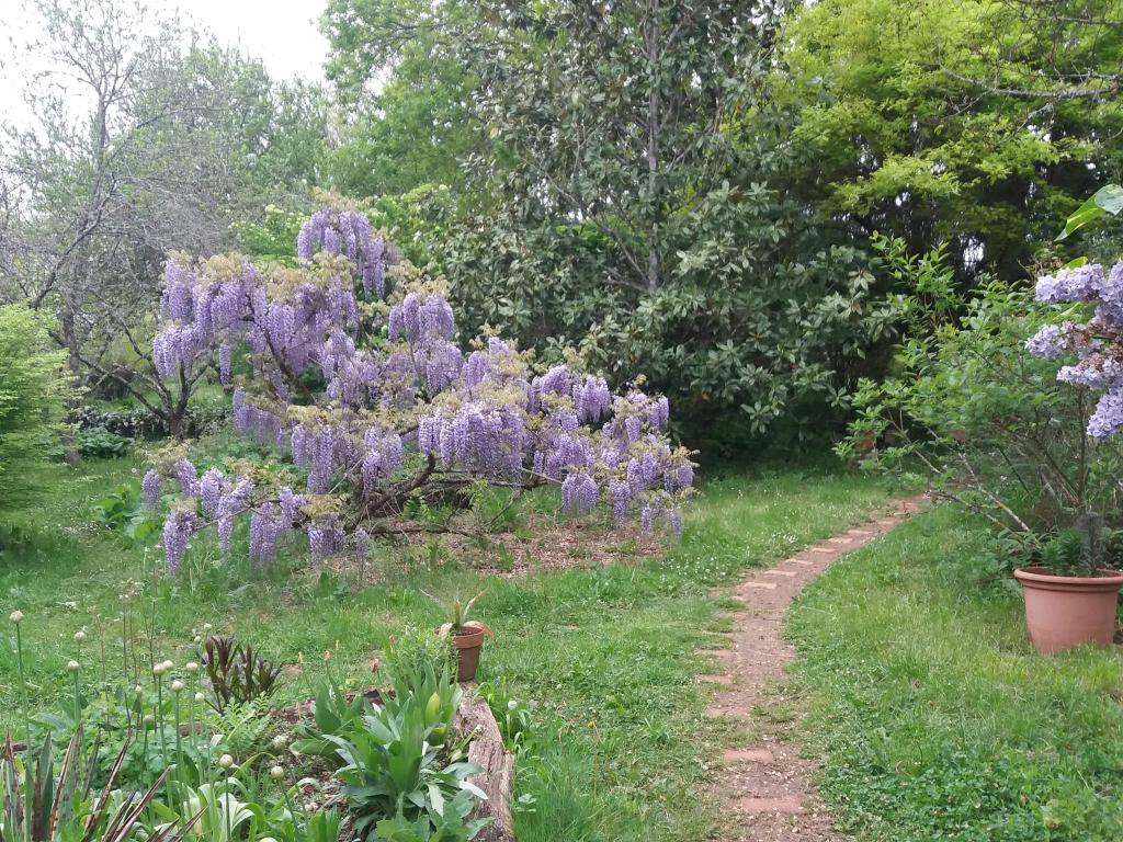 Le jardin de Jan