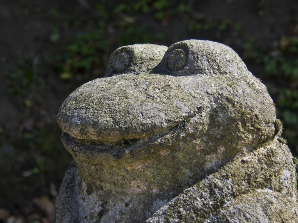 Le jardin des sculptures