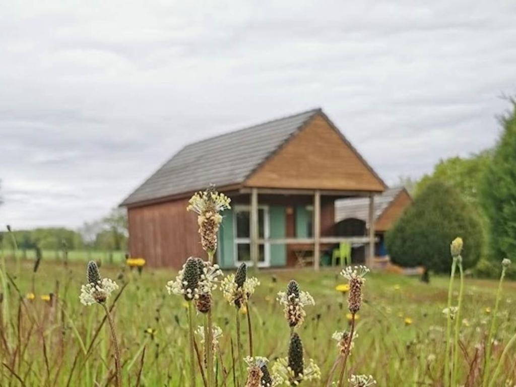 Les maisons de Coline - chalet OSTRYA