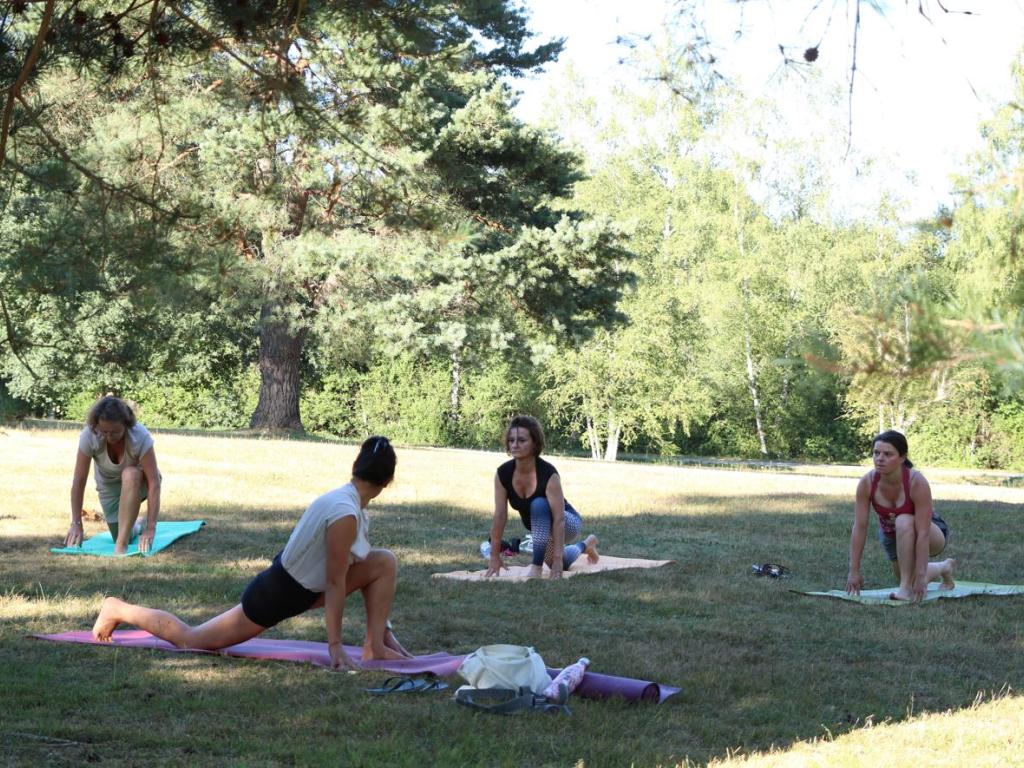 Cours de yoga collectifs en plein air