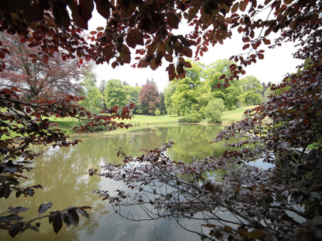 Arboretum du château de Neuvic d'Ussel