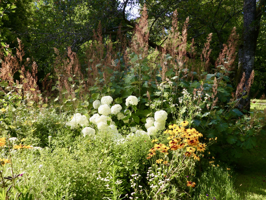 Jardin de Villevaleix