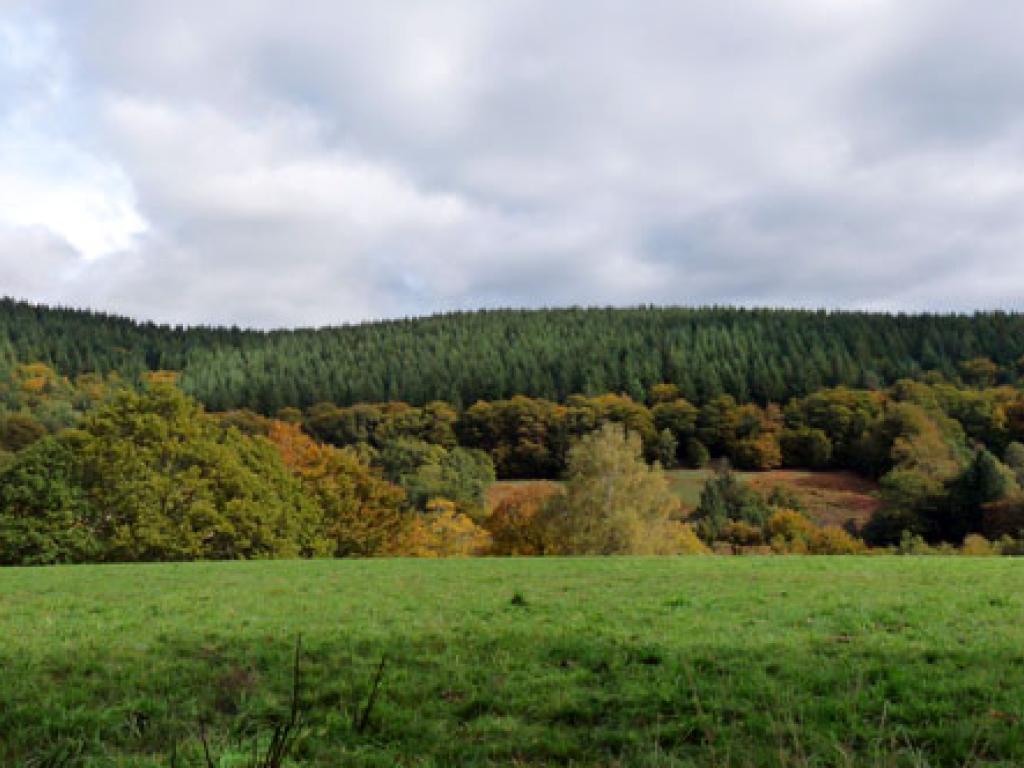 Le toit du Limousin (variante de 17km)