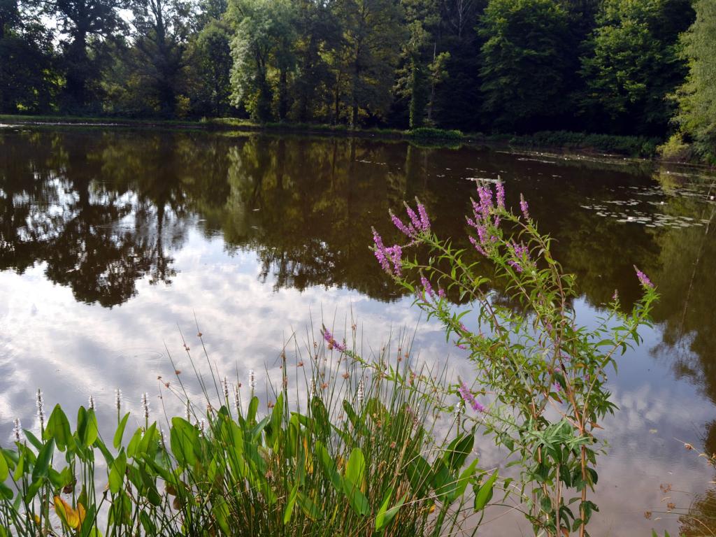 Arboretum Al Gaulhia