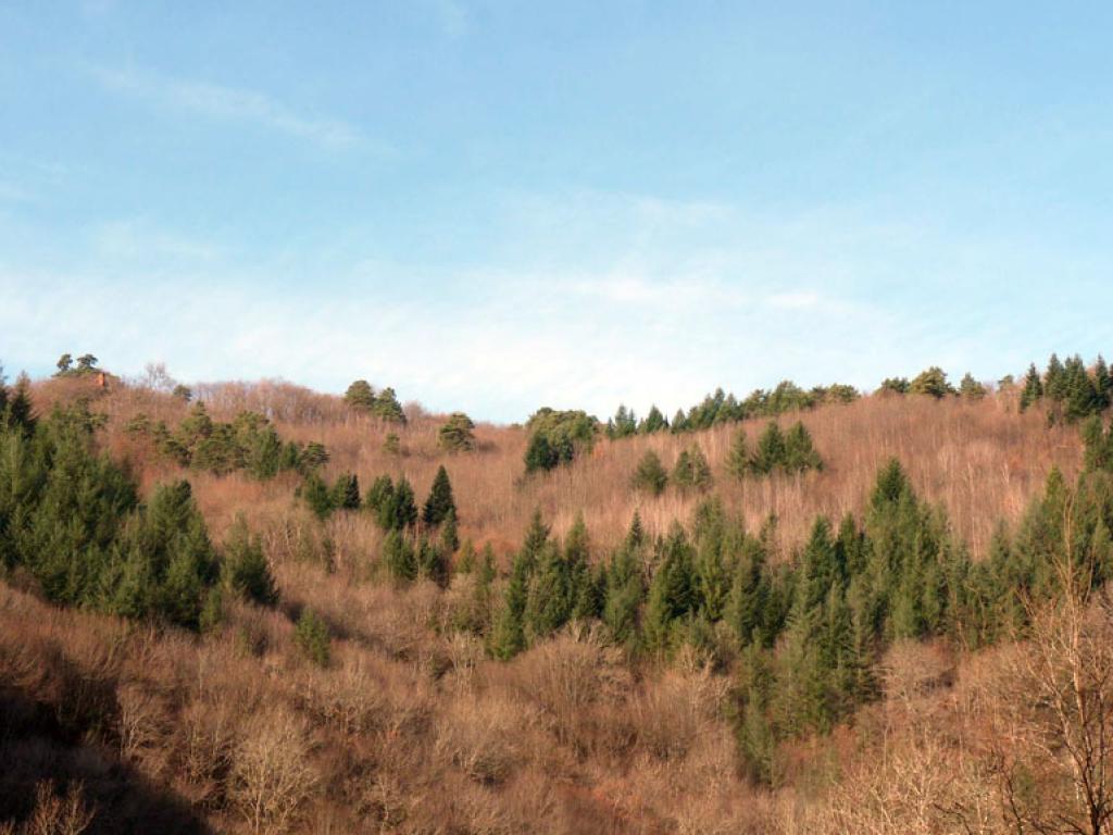 Les balcons de la Corrèze