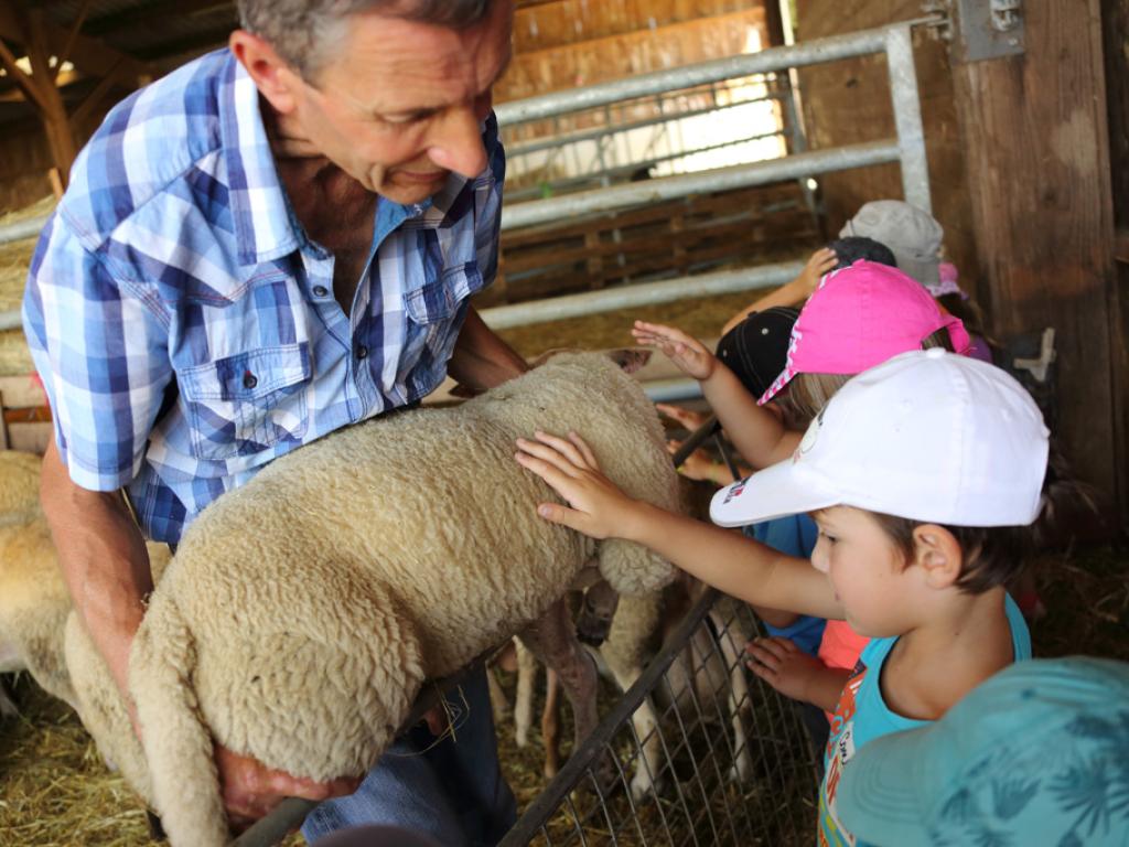 Ferme de Champtiaux