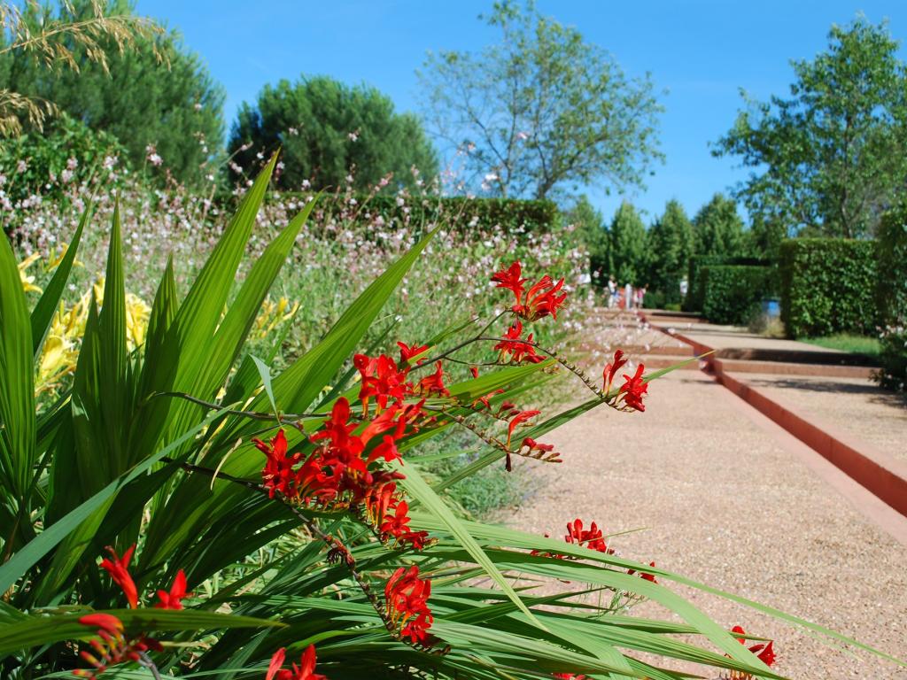 Les Jardins de Colette et son labyrinthe