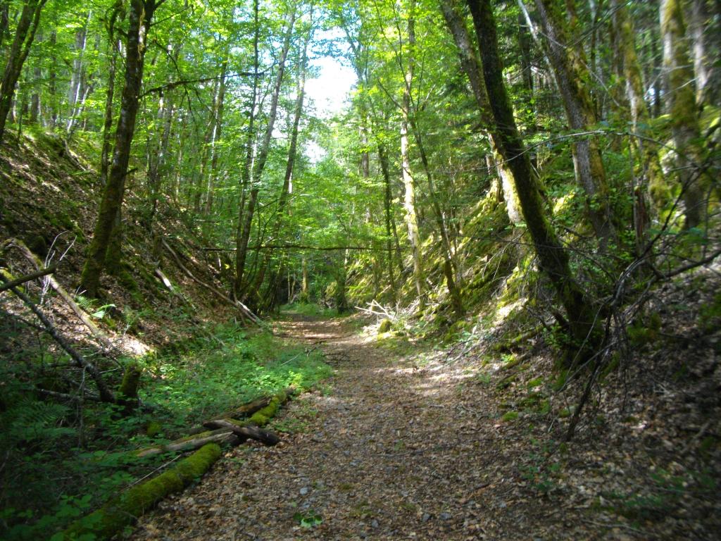 Lémovices ou Arvernes ? (variante 2 de 9 km)