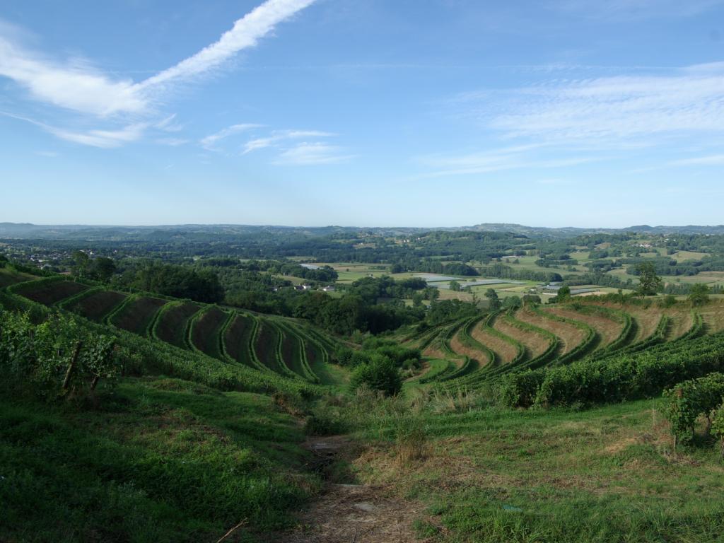 Vignoble des Coteaux de la Vézère