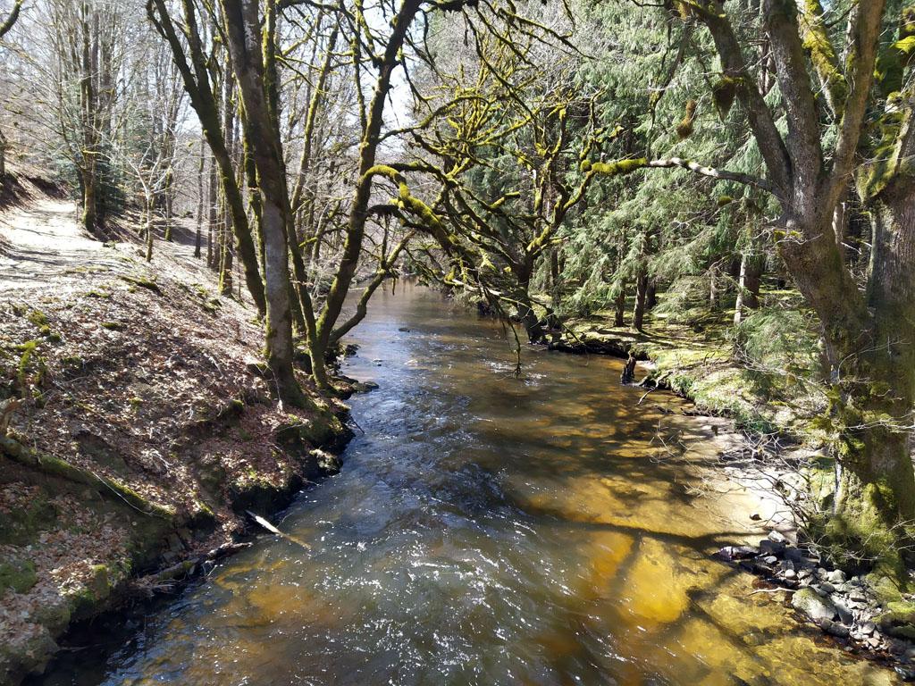 Chemins de traverse