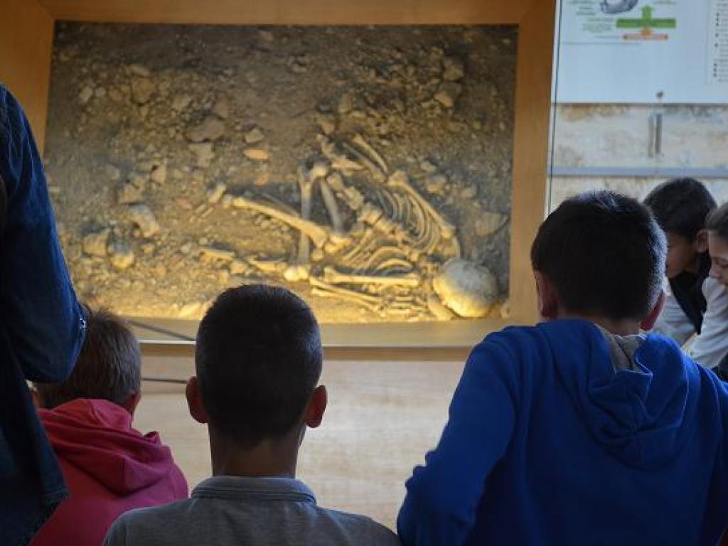 Musée de l'Homme de Neandertal ''Jean Bouyssonie"