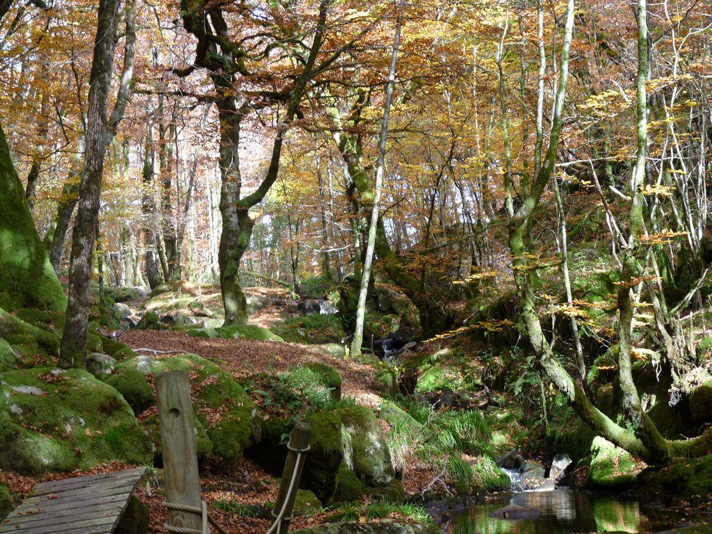 Cascade de la Tine