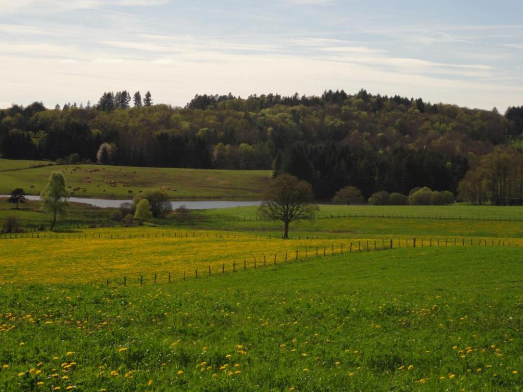 Location Gîtes de France  - Réf : 19G1156