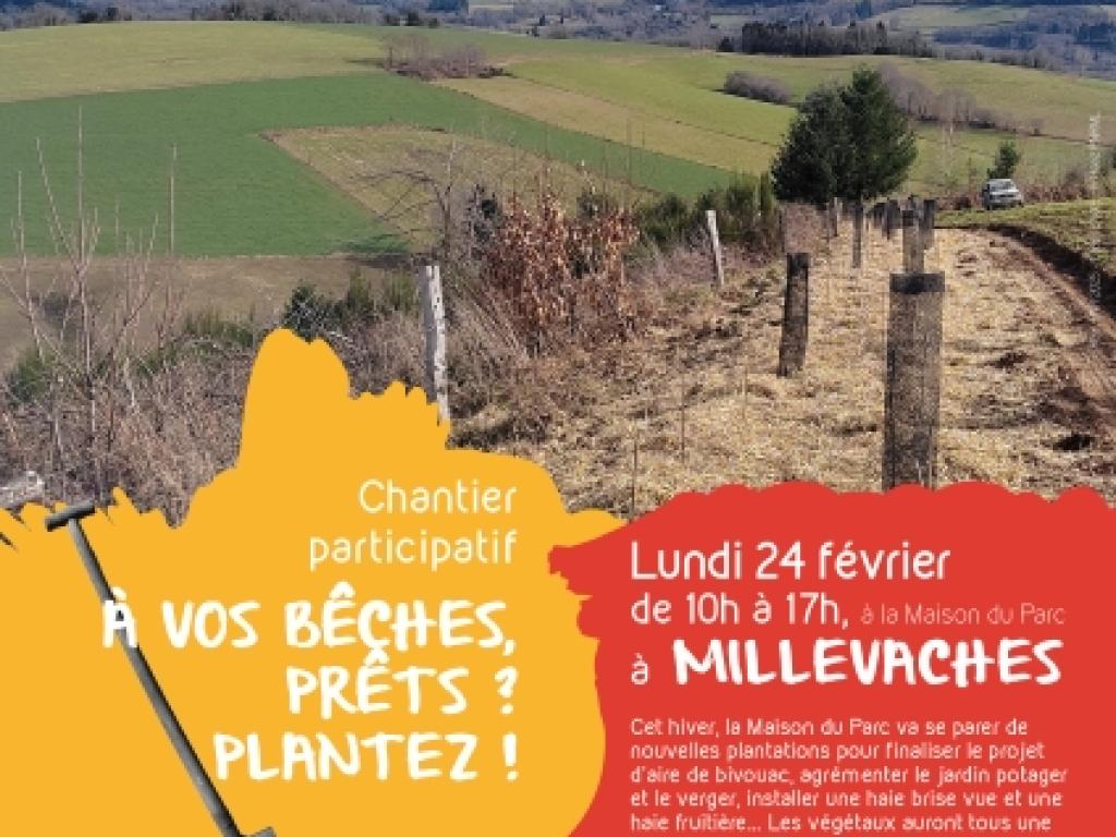 A vos bêches, prêts ? plantez !