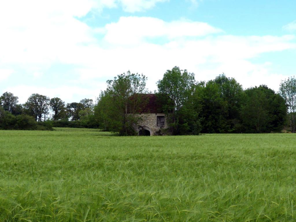 Du château au moulin