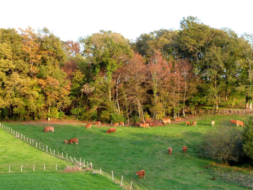 Des vergers aux berges de la Corrèze