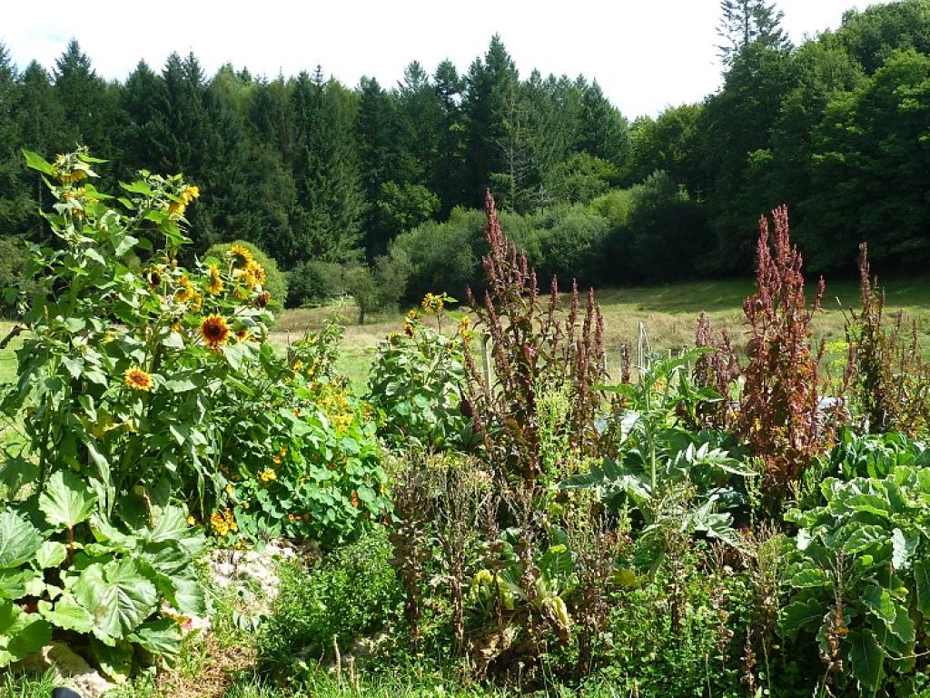 Ferme Pédagogique - Le MonS'Emerveille