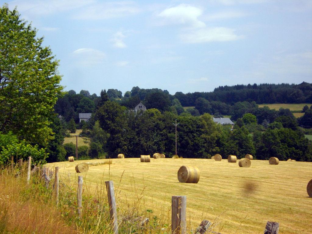 Chemin de campagne